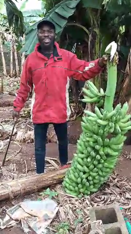 Harvest expo thumbnail